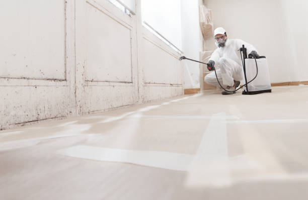 24/7 Emergency Mold Remediation experts in Brunswick, MD